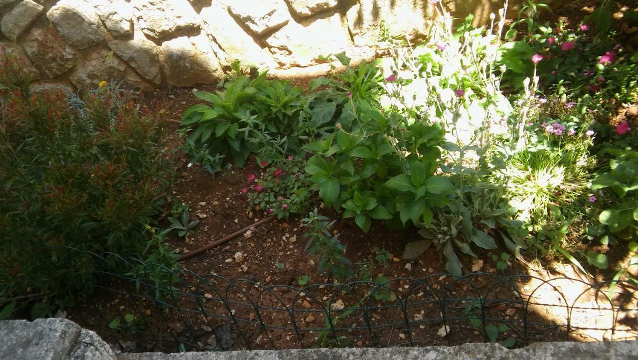 Apartmani Vitkovic II Cres Buitenkant foto